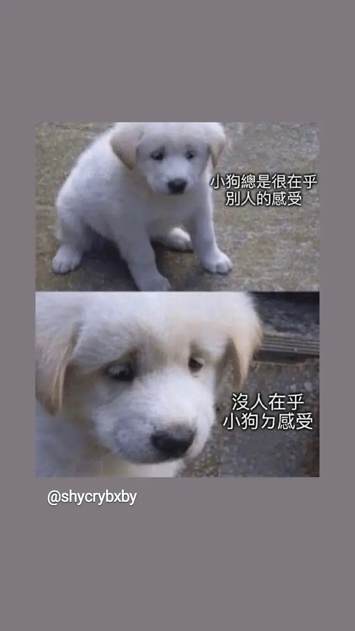 https://upload.hkgolden.media/comment/o4l4b0og.otifbr1qzqd.heapitqowfr.h2u.png