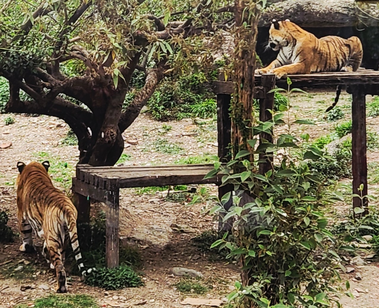 https://upload.hkgolden.media/comment/pjcq4evi.1gy3nc4lxxy.1ijk3wlr4fi.zxq.jpg