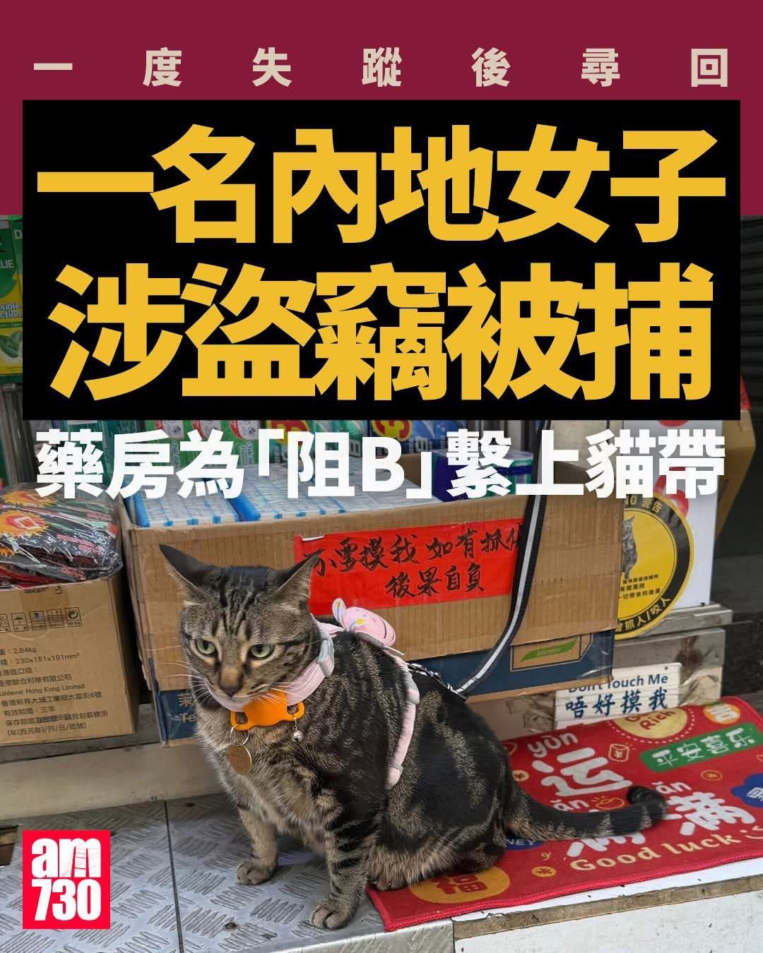 https://upload.hkgolden.media/comment/qxxwxx2y.f2jpyuv5113.s0ird4x2o0r.sd4.jpg