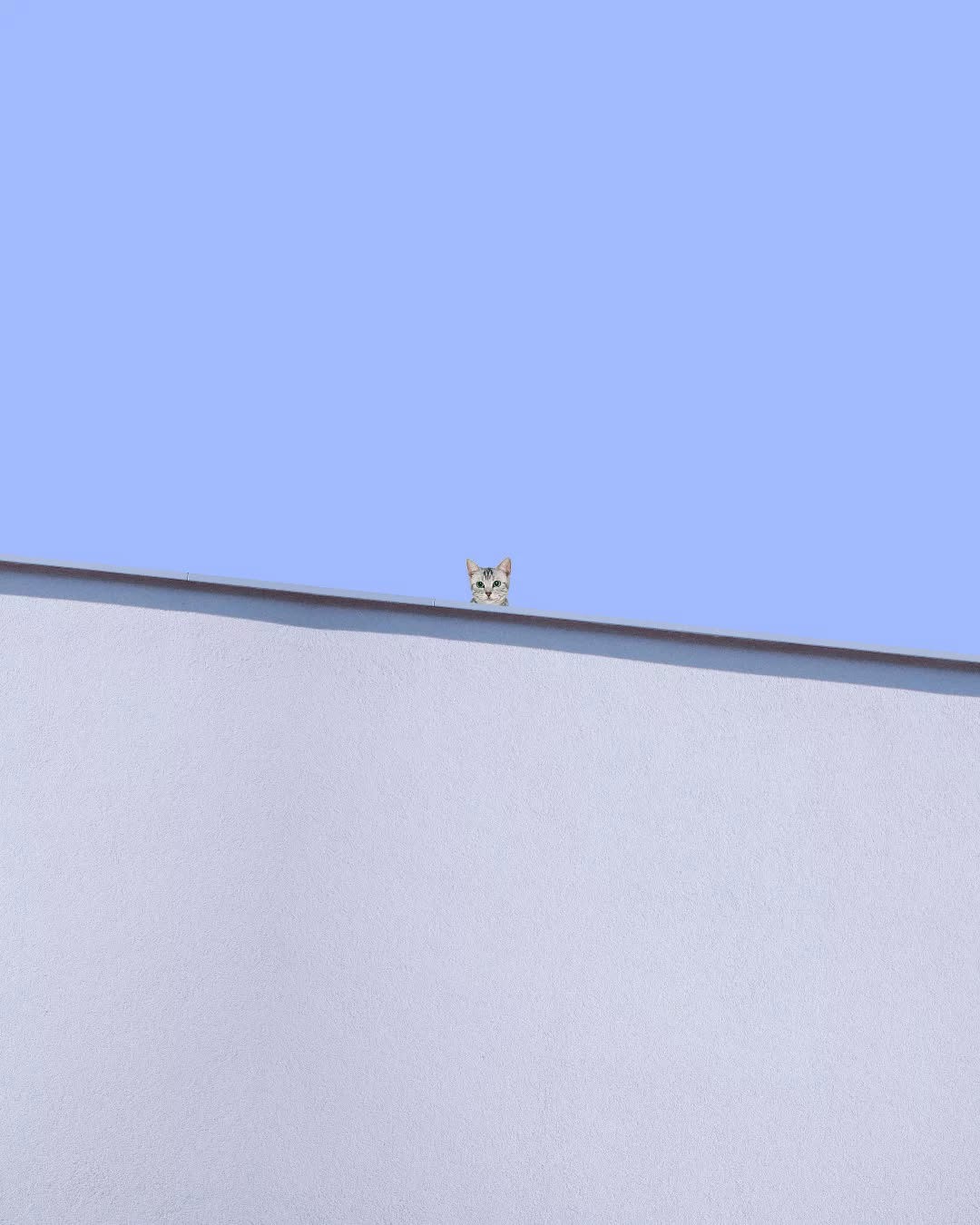 https://upload.hkgolden.media/comment/r3mrd0aa.j3xfzyocffv.z1ojzokhwax.2sm.jpg