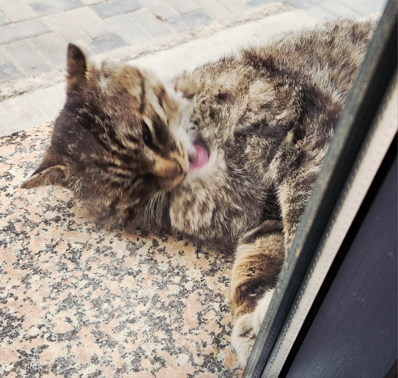 https://upload.hkgolden.media/comment/rfnli12q.loojo0bdvy3.4cneyjcgwgh.lec.jpg