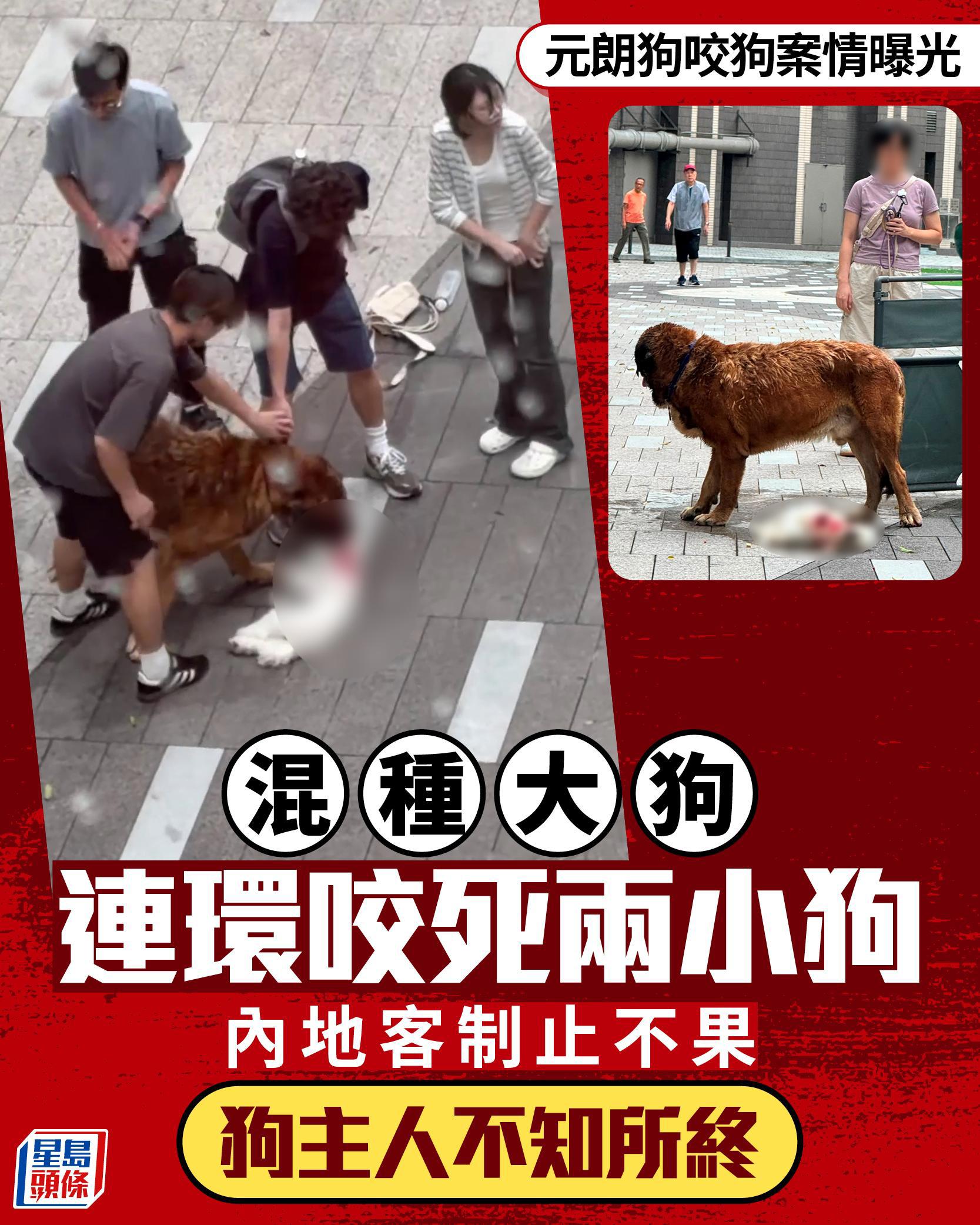 https://upload.hkgolden.media/comment/rtkvqxr0.khbc4zbghdp.fokwaq2rvxk.qdo.jpg