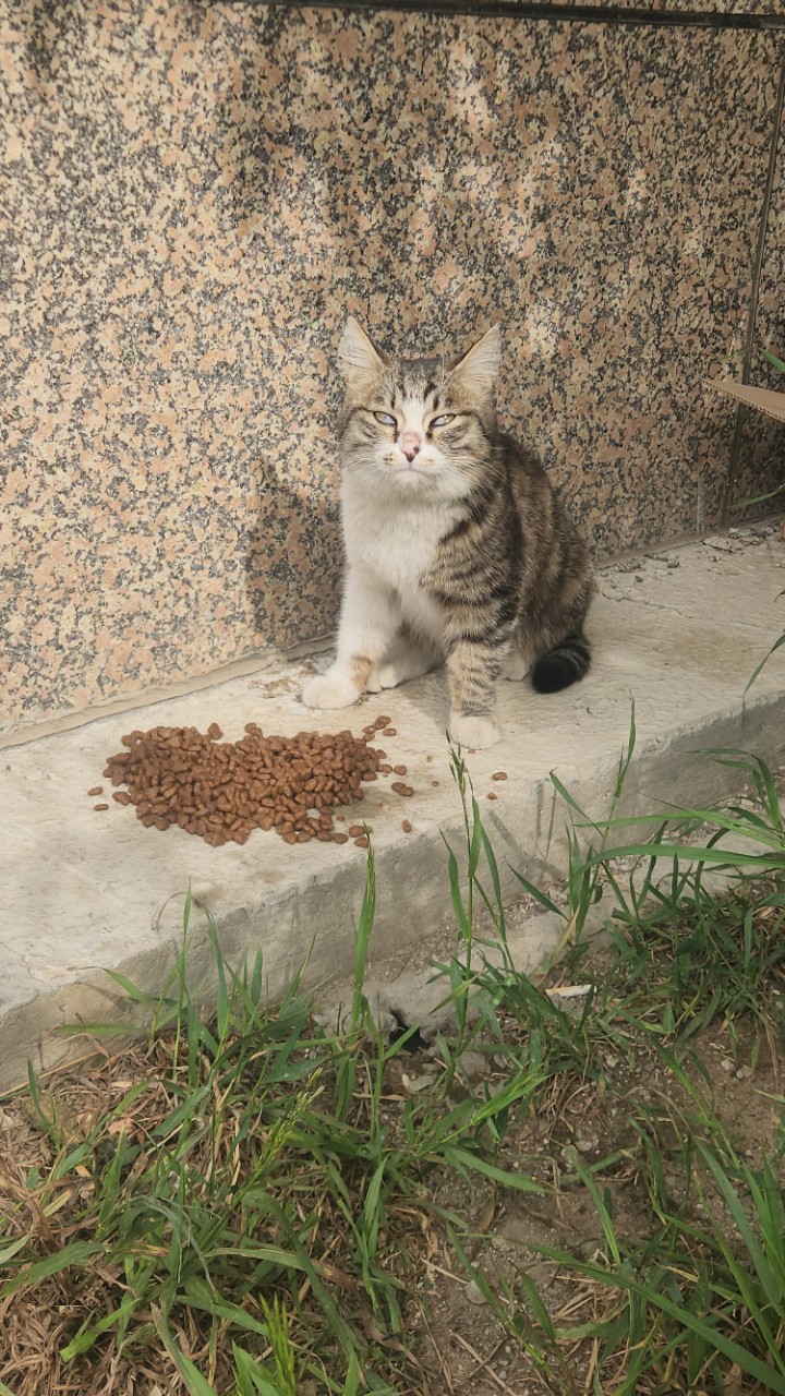 https://upload.hkgolden.media/comment/rvmpsgni.rgzd1zcqjyx.mh2d21pm5tz.fsz.jpg
