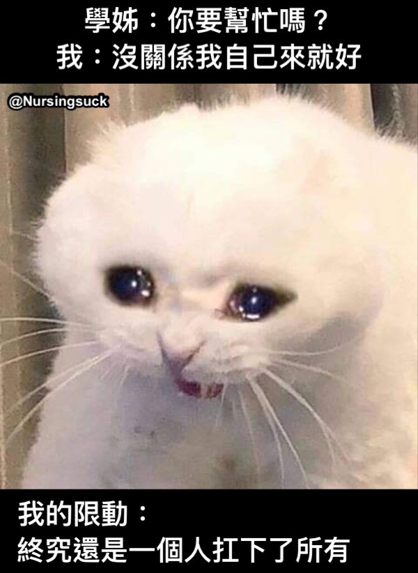 https://upload.hkgolden.media/comment/serdqh5k.4pwhnbyiyub.jx3xidzbdu4.gce.jpg