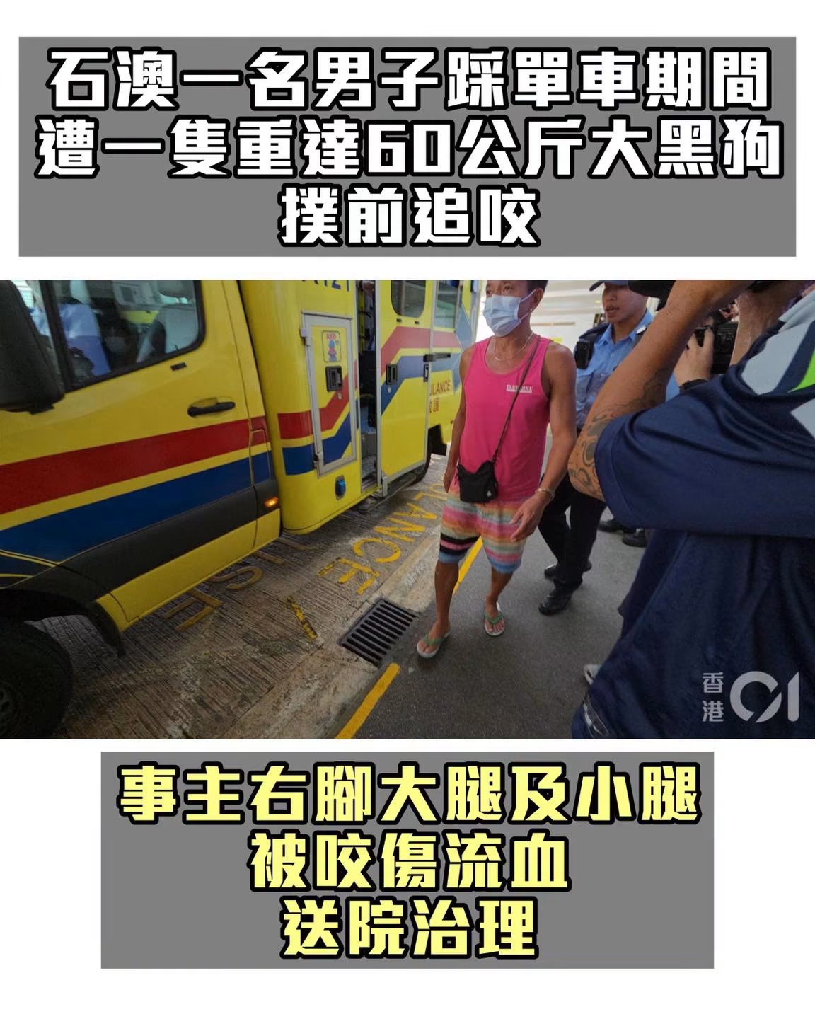 https://upload.hkgolden.media/comment/smfamfw0.uxqdtrsgzdy.enstl1dk0cd.jvw.jpg
