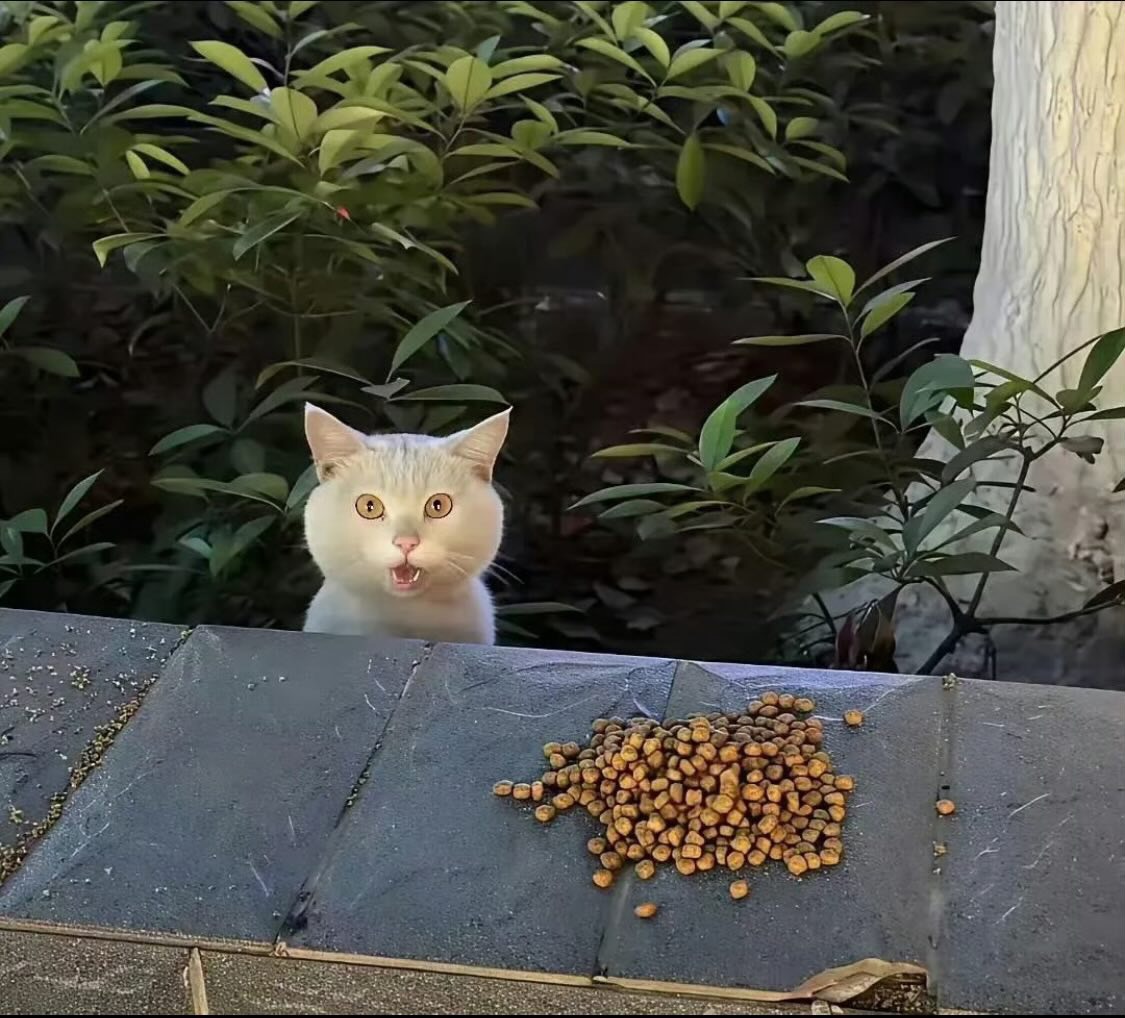 https://upload.hkgolden.media/comment/smr1ik1p.fg4ei2rwhis.vyu4pbiw0n2.xx5.jpg