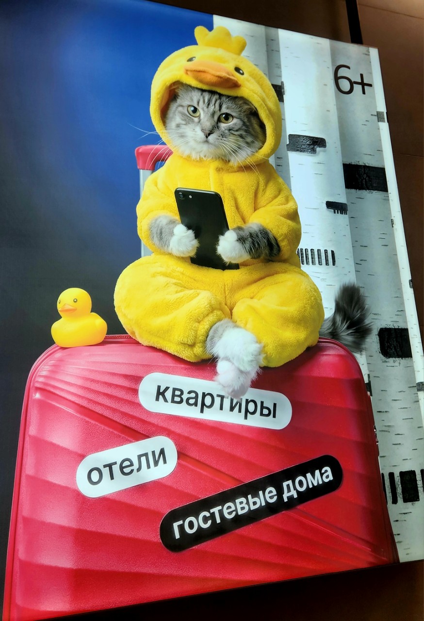 https://upload.hkgolden.media/comment/sqxcohgy.00nogxtzuip.lb5tvlg30is.k1w.jpg