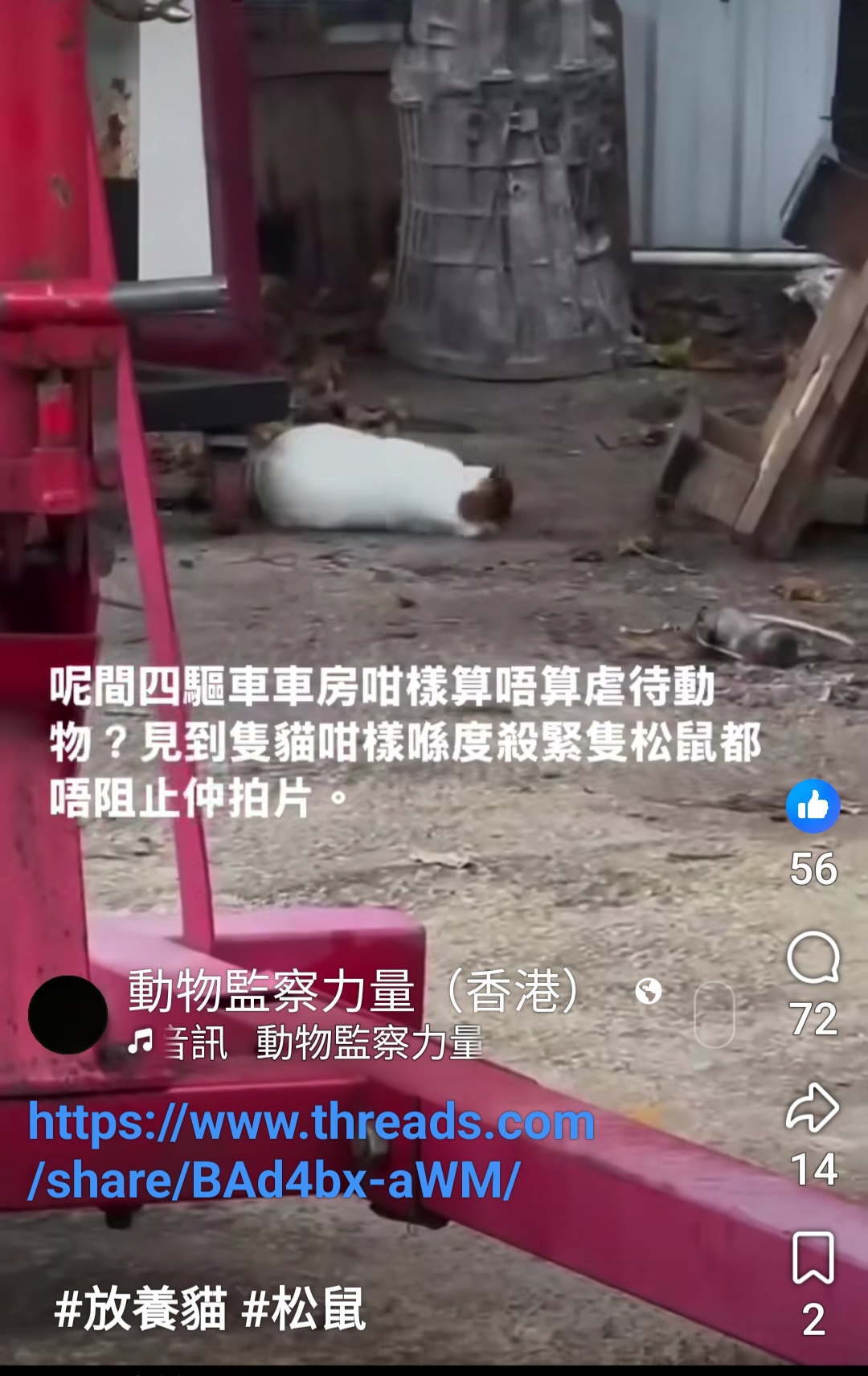 https://upload.hkgolden.media/comment/srwbz1jn.bew1llx5cpp.qp1lkrlzns0.1kq.jpg