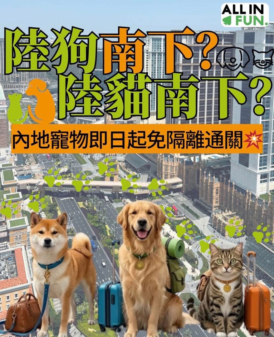 https://upload.hkgolden.media/comment/thgpuwfq.w4t2ciqr42k.evb4oooyau2.lsg.jpg