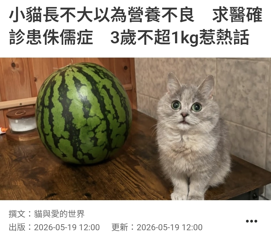 https://upload.hkgolden.media/comment/tl1wl3co.bn5mqfim3dh.so1ja4q0z0b.zzh.jpg