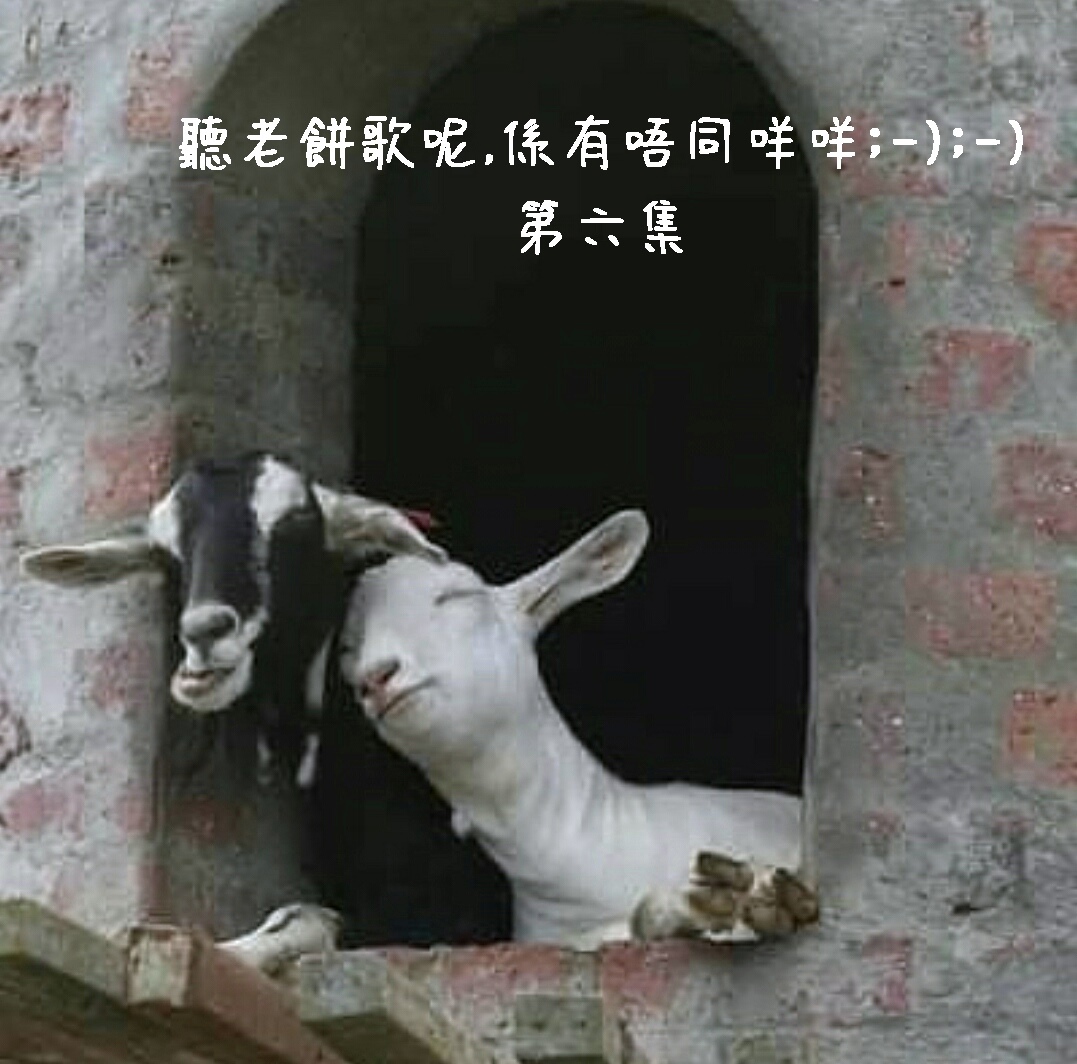 https://upload.hkgolden.media/comment/toba5qom.z30yebiuomj.cl1er2ib5x0.c3f.jpg