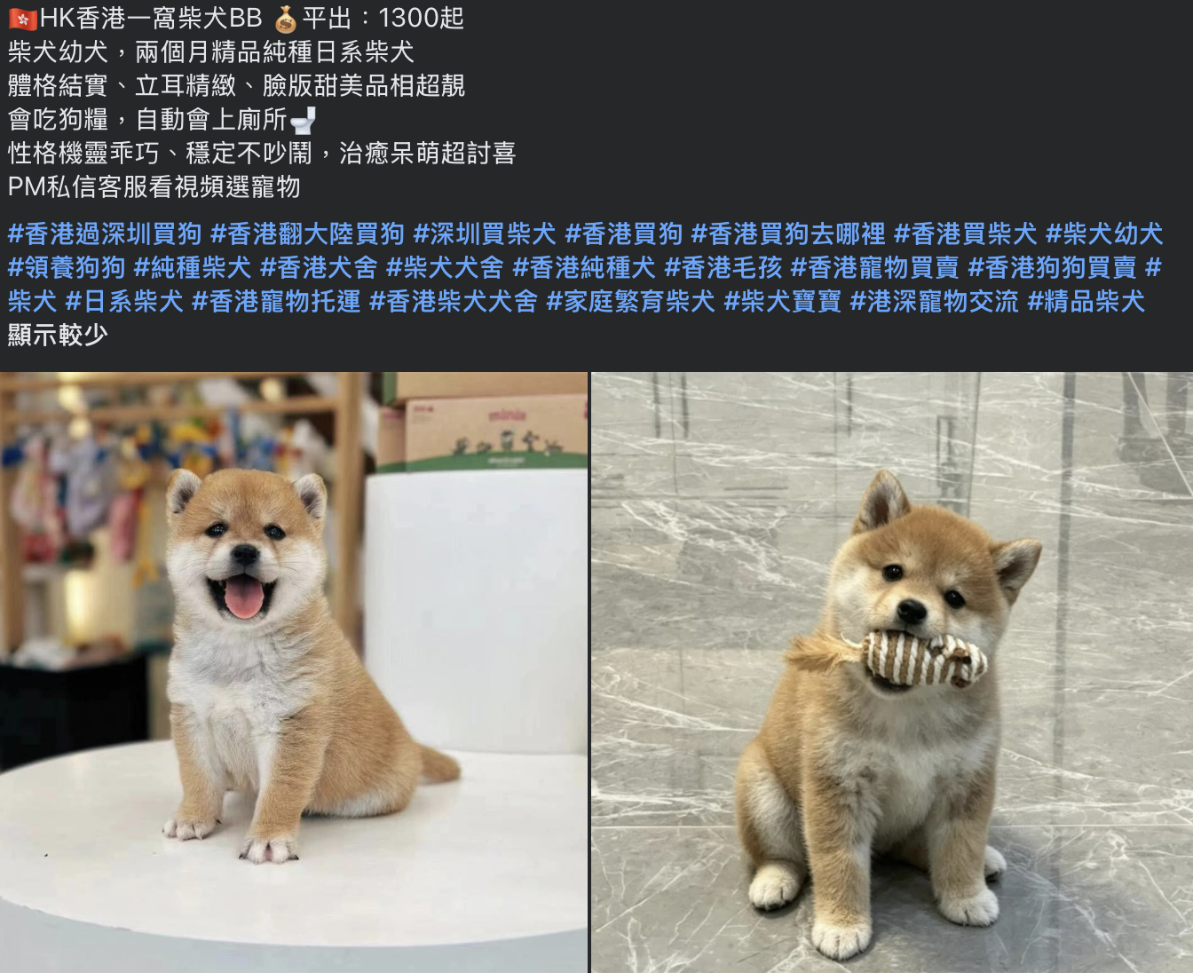 https://upload.hkgolden.media/comment/tyacqkjw.p425wsygcvd.jazc5yu5yc0.hay.png