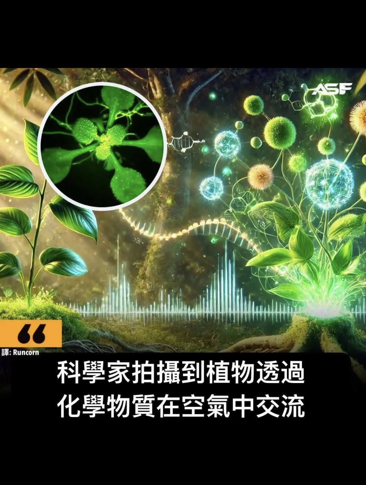 https://upload.hkgolden.media/comment/ucsis00k.rdhxmb0ir0p.wfktun1xcpq.pzy.jpg