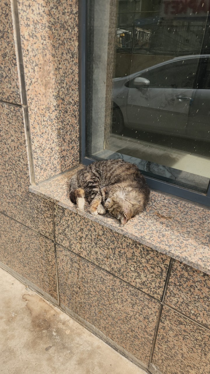 https://upload.hkgolden.media/comment/vmvcvlad.10dhyw5h2tc.4m2bq2lwmqo.cwb.jpg