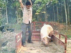 https://upload.hkgolden.media/comment/vvhpezlv.dxyr1nfkpfu.txdudizorhp.gcv.gif