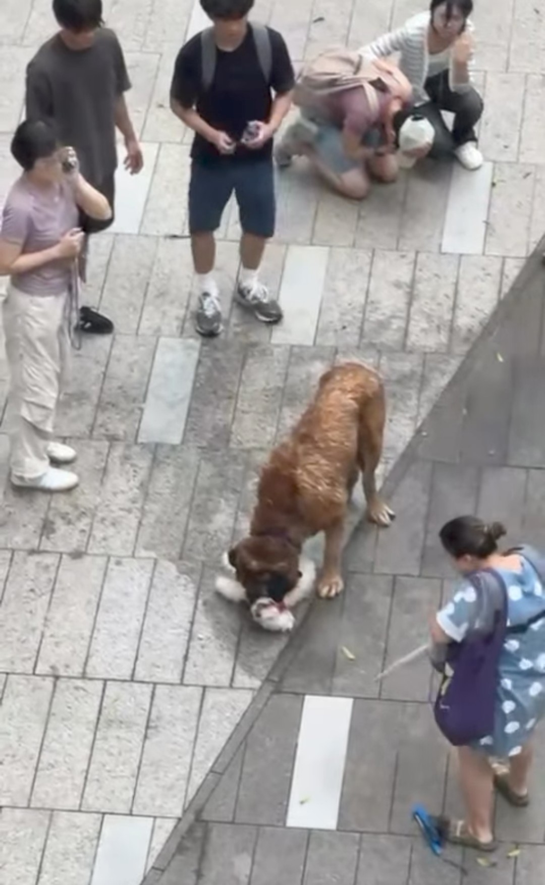 https://upload.hkgolden.media/comment/vyvub2zh.4e2hzpbi2fd.wcplw4dfnm4.bdj.jpg