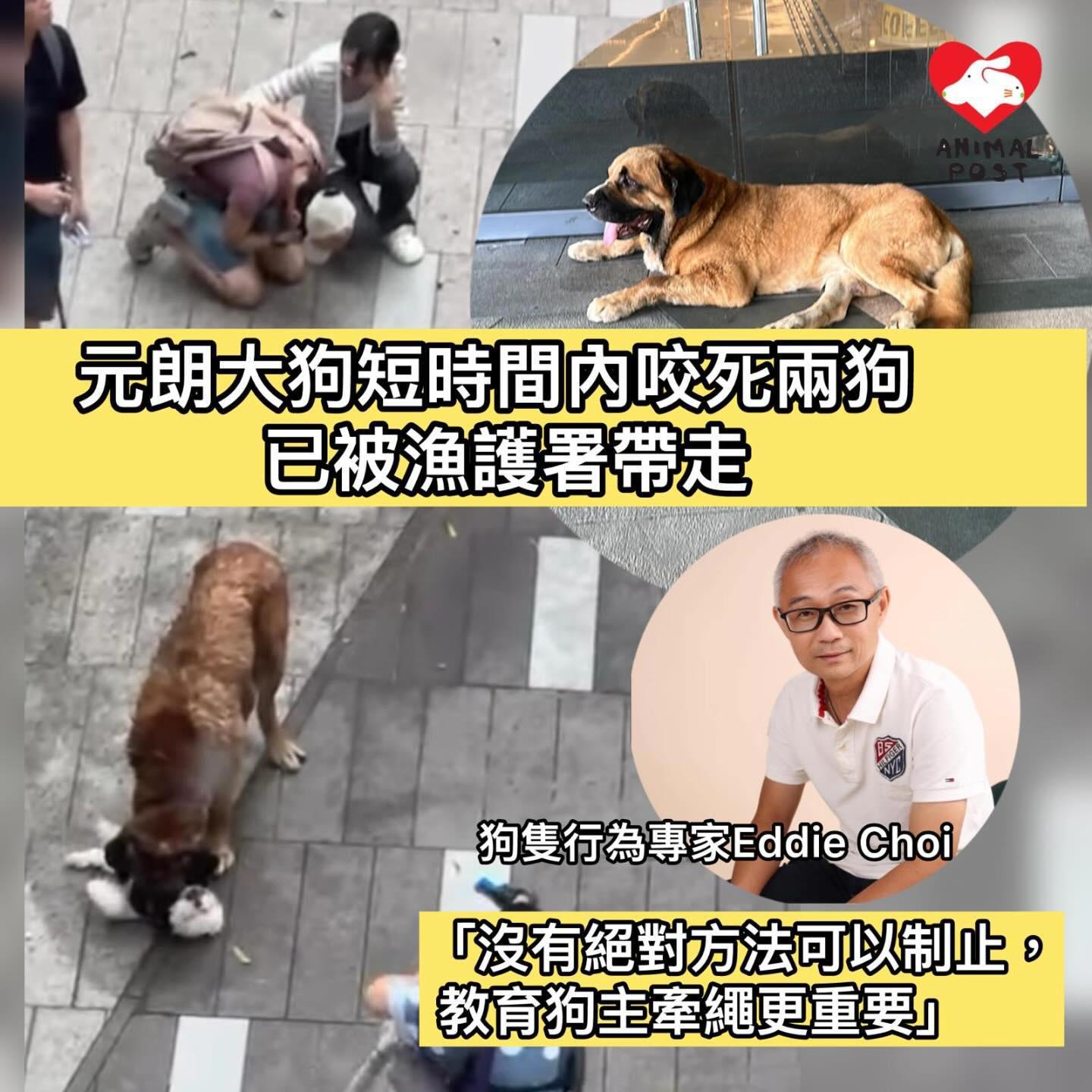https://upload.hkgolden.media/comment/wap5f2j2.l0owyuigp2r.53c5sipsk0f.nzf.jpg