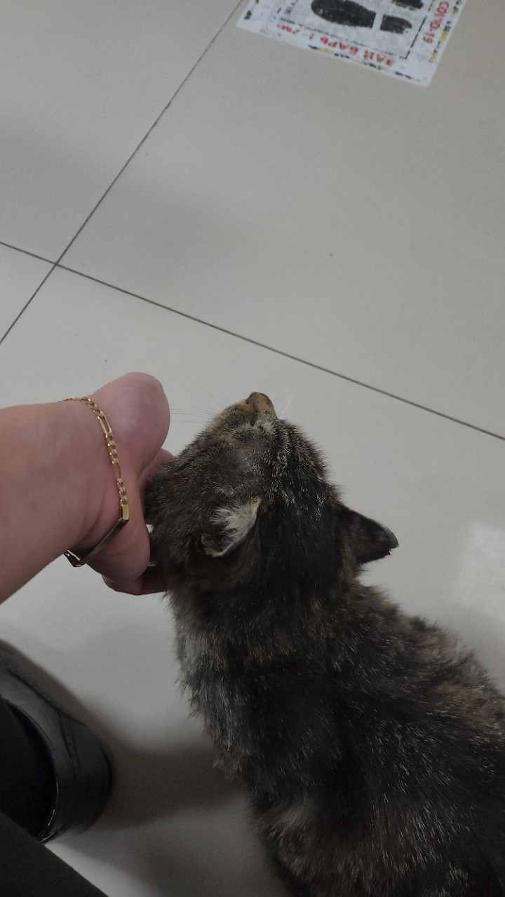 https://upload.hkgolden.media/comment/wbdmuvw1.13oiatw3n2c.axgibz4nzbf.bkj.jpg