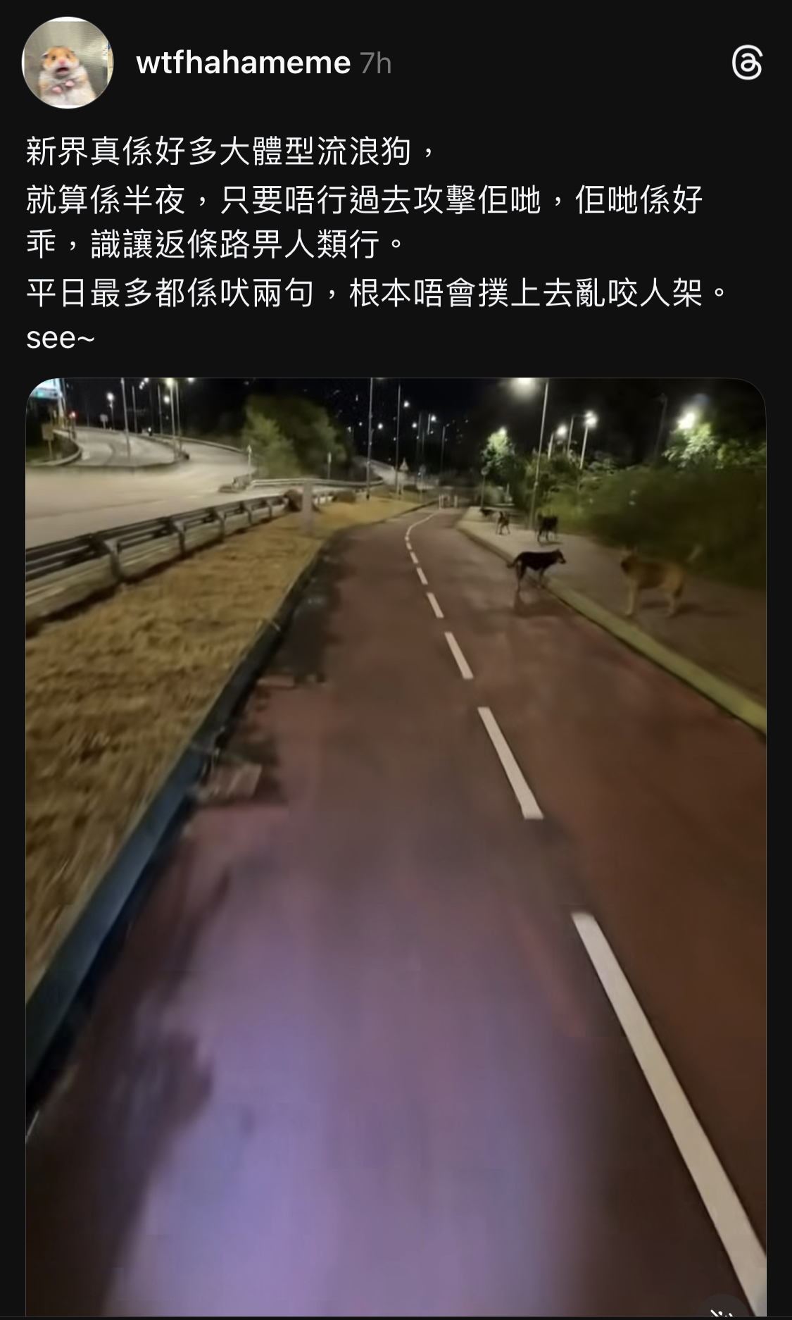 https://upload.hkgolden.media/comment/wnl0d30d.opqoljhbtsn.04tvilpzdcn.vam.jpg
