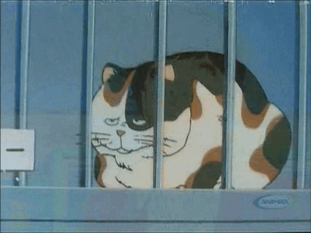 https://upload.hkgolden.media/comment/wubsyiwd.a532nwfjeik.ksu3c3ctqjr.ils.gif