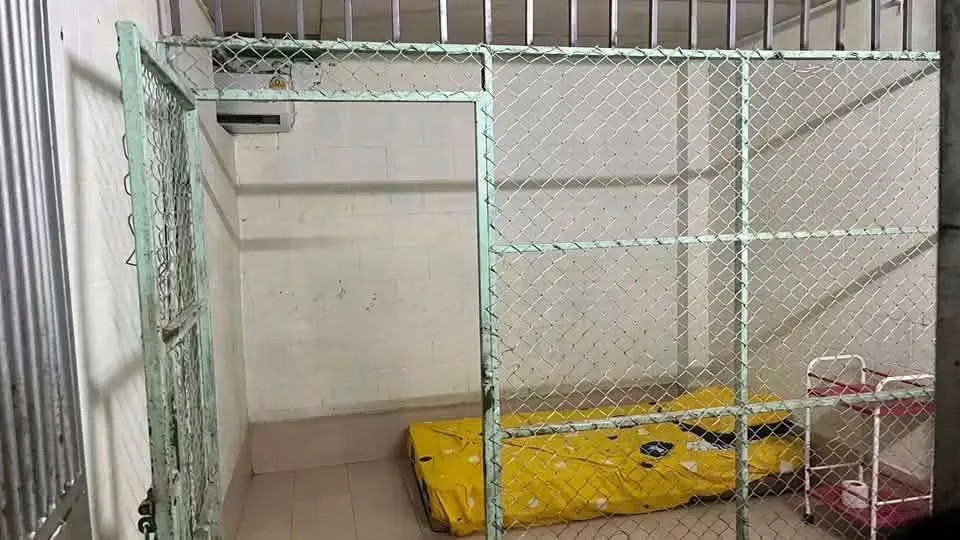 https://upload.hkgolden.media/comment/wy3q3uad.faxvem4zyxm.43qo1m55d4e.s4n.jpg