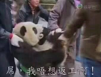 https://upload.hkgolden.media/comment/x2mm1kjh.g0z3g2hfv2f.s3ryupq52nr.uvj.jpg