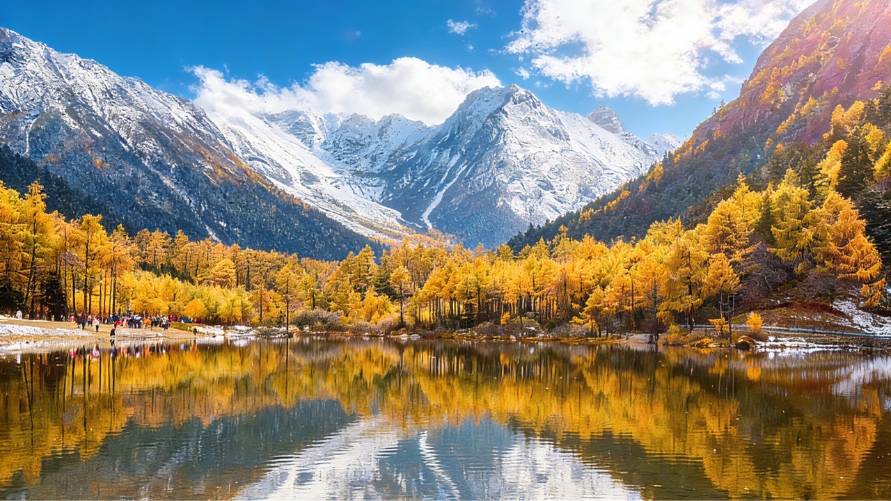 https://upload.hkgolden.media/comment/x5gvt0bh.4xlpeywwsh5.ygqe0t1fjxg.gl0.jpg
