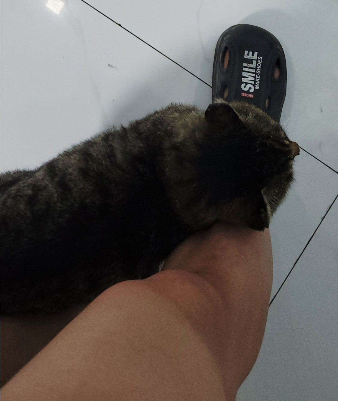 https://upload.hkgolden.media/comment/xf2qqcfi.eiyqpyasdbo.o2dlmz1xmmv.nee.jpg