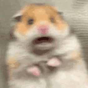 https://upload.hkgolden.media/comment/xmdjiijb.5uvyfdyc43v.0b5wfaoafxa.0d1.gif