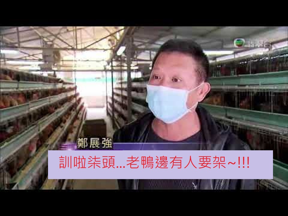 https://upload.hkgolden.media/comment/ywd2s1fv.4son05nmfqj.ommer2ayry1.0fa.jpg