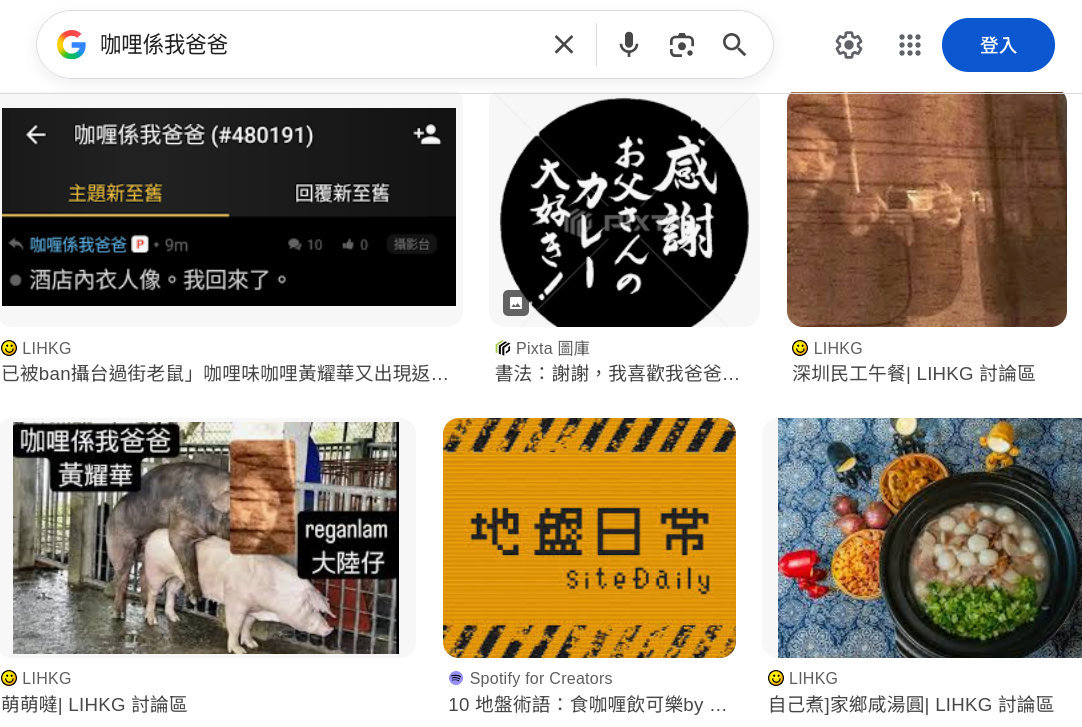 食 咖喱 地盤 術語 (98) 사진