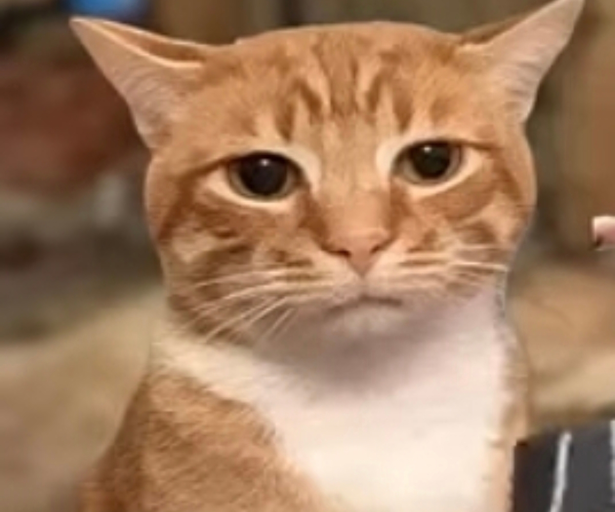 https://upload.hkgolden.media/comment/znv2t5af.25w4dsmdumt.1nuabhhhld2.i2s.jpg