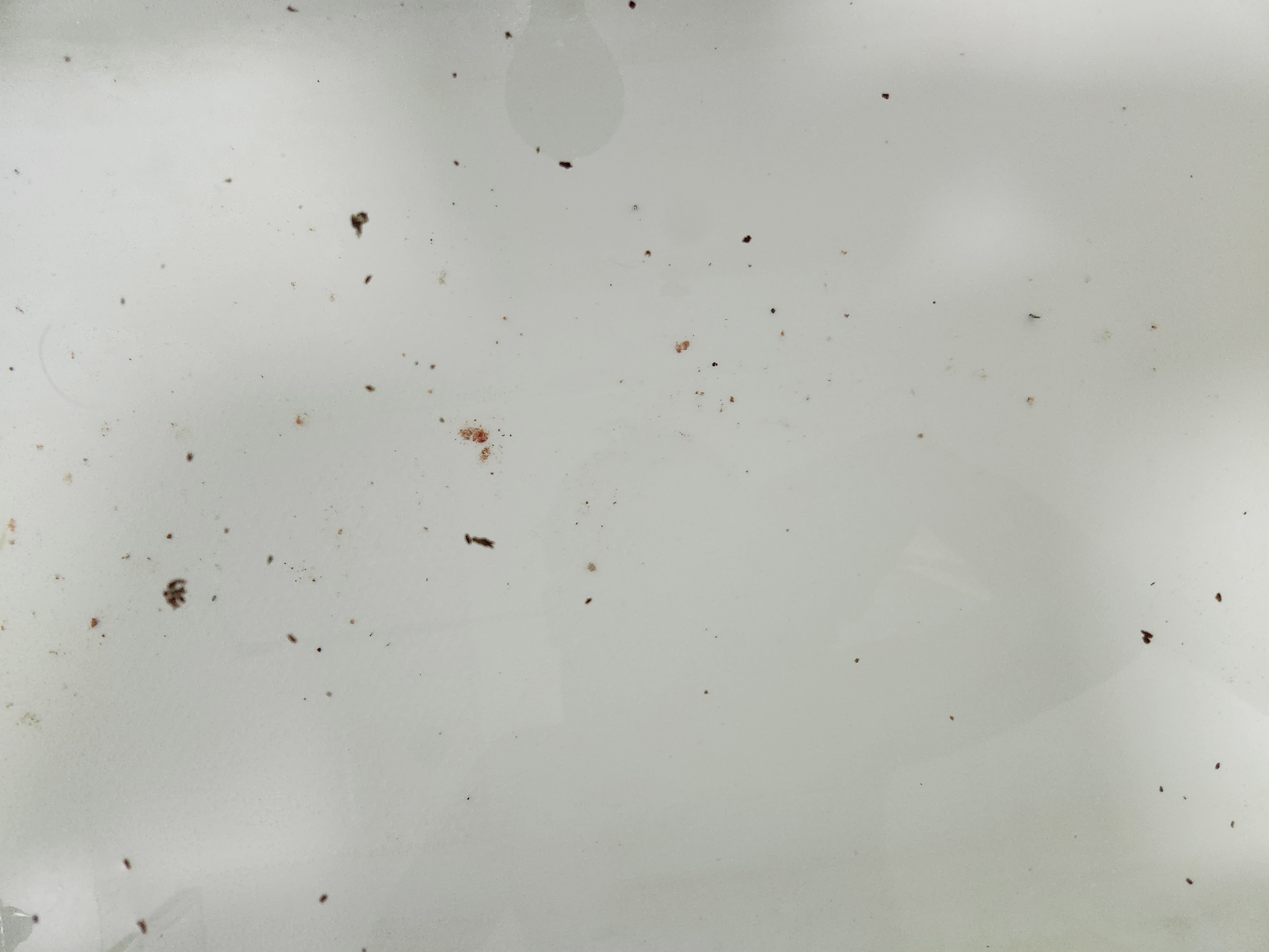 https://upload.hkgolden.media/comment/zvlmzhsd.eqrfzbbta0b.5lnx2bsvsw0.rlt.jpg